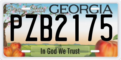 GA license plate PZB2175