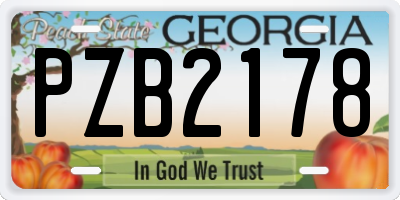 GA license plate PZB2178