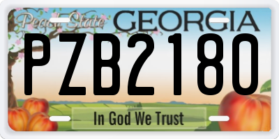 GA license plate PZB2180
