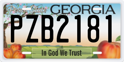 GA license plate PZB2181