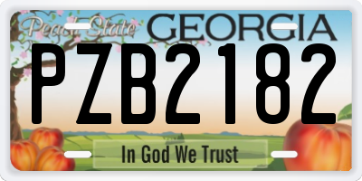 GA license plate PZB2182