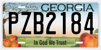 GA license plate PZB2184