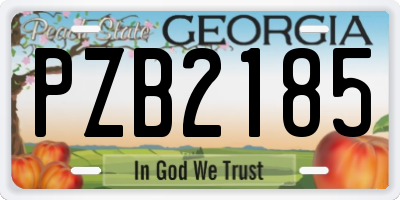 GA license plate PZB2185