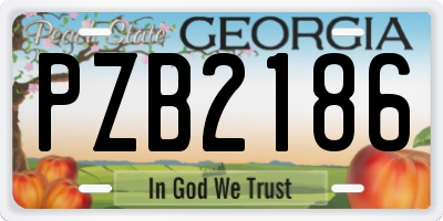GA license plate PZB2186