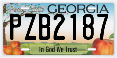 GA license plate PZB2187