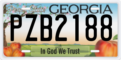 GA license plate PZB2188