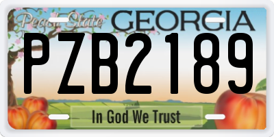 GA license plate PZB2189