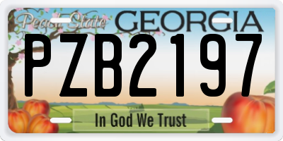 GA license plate PZB2197