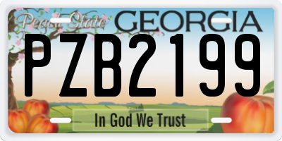 GA license plate PZB2199