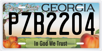 GA license plate PZB2204