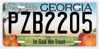 GA license plate PZB2205