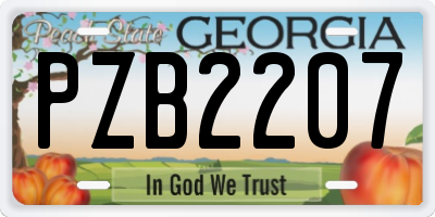 GA license plate PZB2207