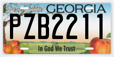 GA license plate PZB2211