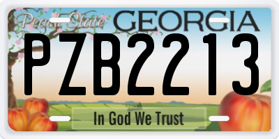 GA license plate PZB2213
