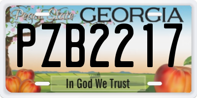 GA license plate PZB2217