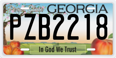 GA license plate PZB2218