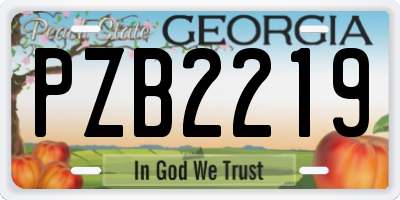 GA license plate PZB2219