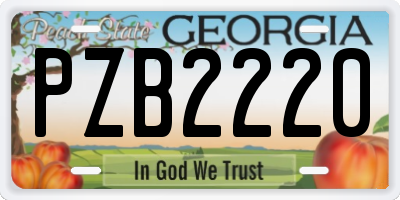 GA license plate PZB2220