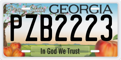 GA license plate PZB2223