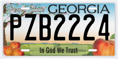 GA license plate PZB2224