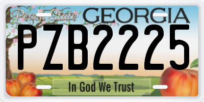 GA license plate PZB2225