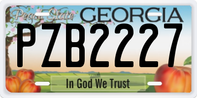 GA license plate PZB2227