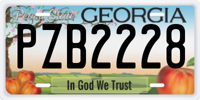 GA license plate PZB2228