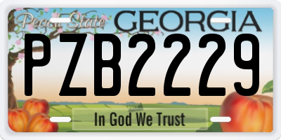 GA license plate PZB2229