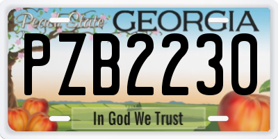 GA license plate PZB2230