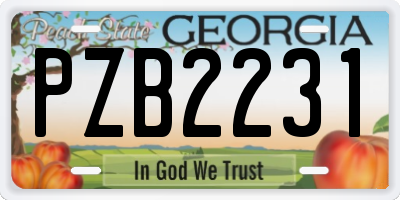 GA license plate PZB2231