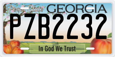 GA license plate PZB2232