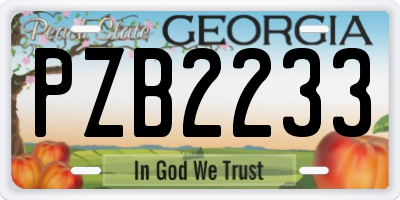 GA license plate PZB2233