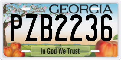 GA license plate PZB2236