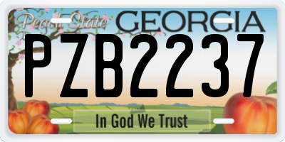 GA license plate PZB2237