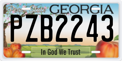 GA license plate PZB2243