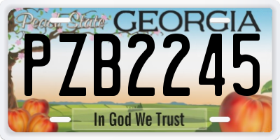 GA license plate PZB2245