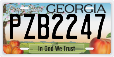 GA license plate PZB2247