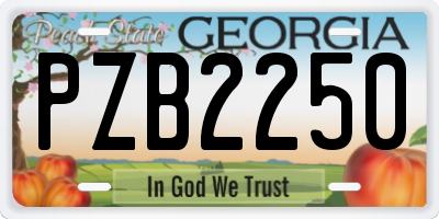 GA license plate PZB2250