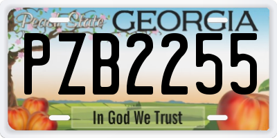 GA license plate PZB2255