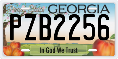 GA license plate PZB2256