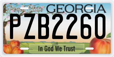 GA license plate PZB2260