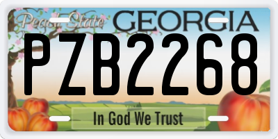 GA license plate PZB2268