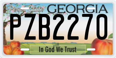 GA license plate PZB2270