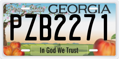 GA license plate PZB2271