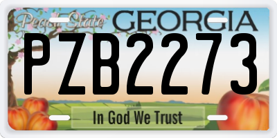 GA license plate PZB2273