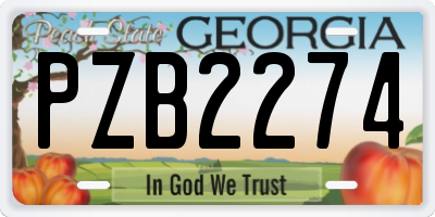 GA license plate PZB2274
