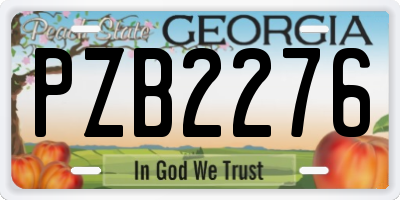 GA license plate PZB2276