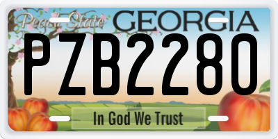 GA license plate PZB2280