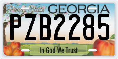 GA license plate PZB2285