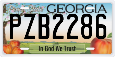 GA license plate PZB2286